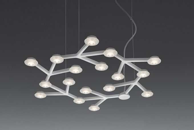 LED NET  /Circulaire