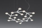 LED NET  /Circulaire
